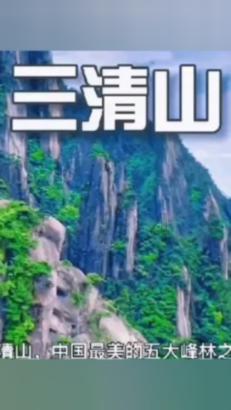 小长颈鹿逃离