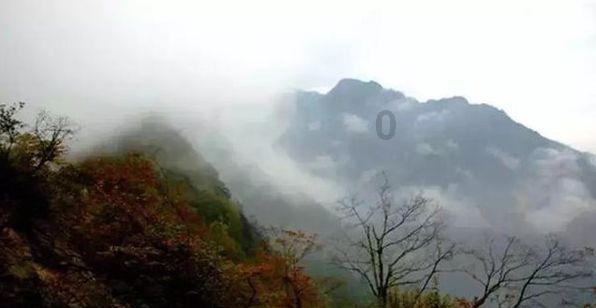 植物大战僵尸20