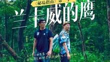永善:春节文化饰品丰富 商家备货忙