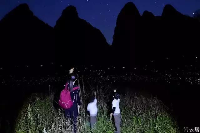 谋杀：灵魂疑犯
