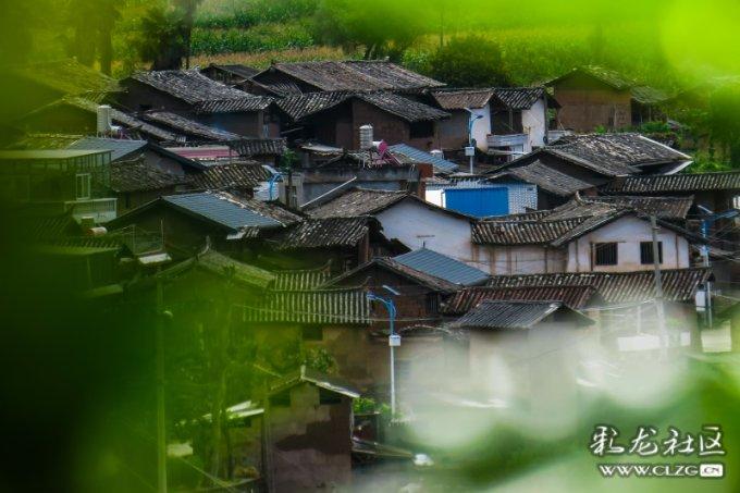 寻找遗失的光盘