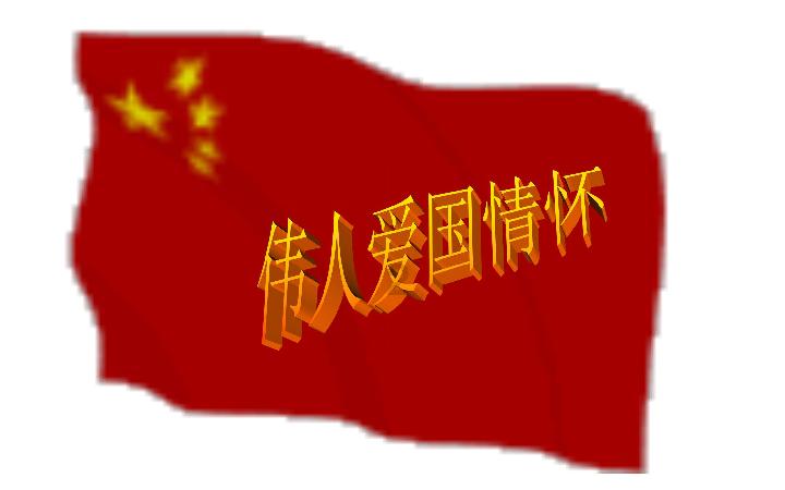 广西北海大片消失的红树林，最茂盛时是怎样的景象？游戏画面