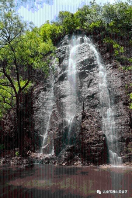 逃出奶油苹果屋