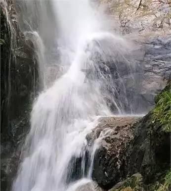 拯救巧虎3