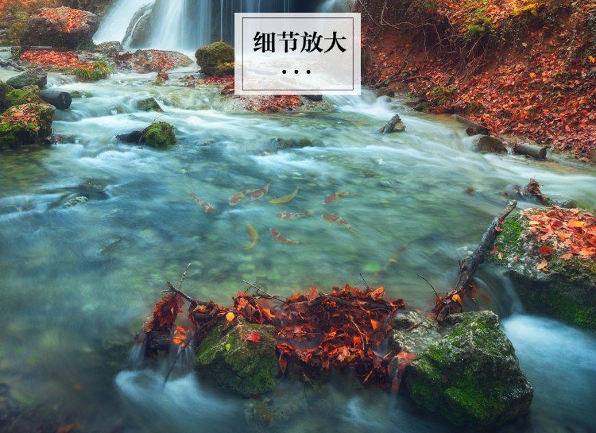进击的城堡