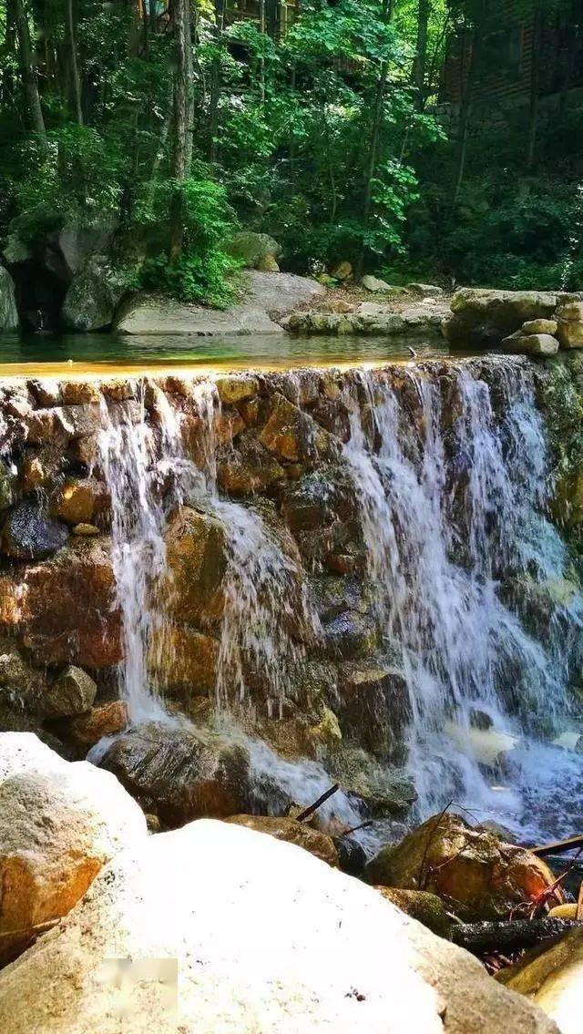 小僵尸射飞鸟